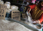 Kenaikan Harga Beras di Indonesia: Impor Bukan Solusi, Perbaiki Manajemen Pangan yang Diperlukan