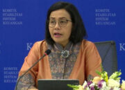 Menkeu RI Sri Mulyani Ungkapkan Stabilitas Sistem Keuangan Indonesia pada Triwulan kedua 2024