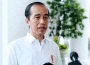 Jokowi Akan Datang Ground Breaking Kalau Ada Undangan dari Kepala Otorita IKN