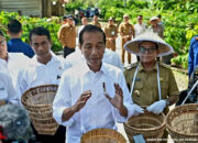 Jokowi Mendorong Hilirisasi Semua Komoditas Pertanian