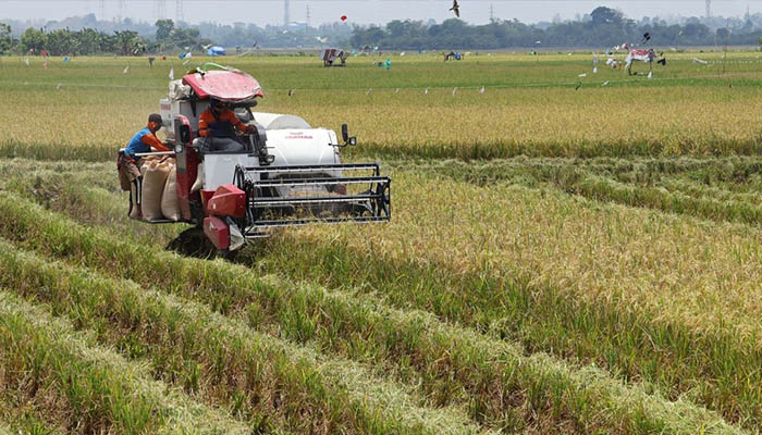 Pemprov Sulsel Bertekad Wujudkan Kemandirian Bangsa Melalui Ketahanan Pangan dan Energi