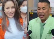 Nikita Mirzani Ngamuk di Sidang, Hotman Paris: Itu Hal yang Wajar Kok