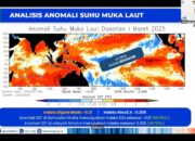 Musim Kemarau 2025 Bikin Bingung! BMKG Ungkap Durasi Makin Pendek, Banyak Daerah Masih Diguyur Hujan