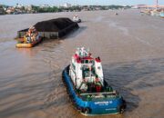 Cina & India Pangkas Impor Batu Bara RI, Mongolia dan Rusia Ambil Alih Pasar