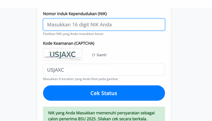 BSU 2025 Cair ke 2,4 Juta Pekerja, Ini Cara Cek Validasi Online