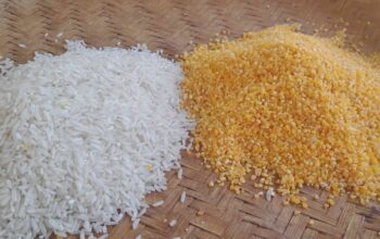 Beras Campuran Jagung Yang Menjadi Alternatif Saat Krisis Beras Nasional