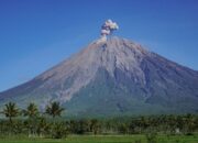 Erupsi Gunung Semeru Mengeluarkan Abu Setinggi 700 Meter Di Atas Puncak