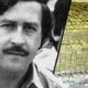 Foto Dokumentasi Wajah Pablo Escobar, Gembong Narkoba Legendaris Asal Kolombia