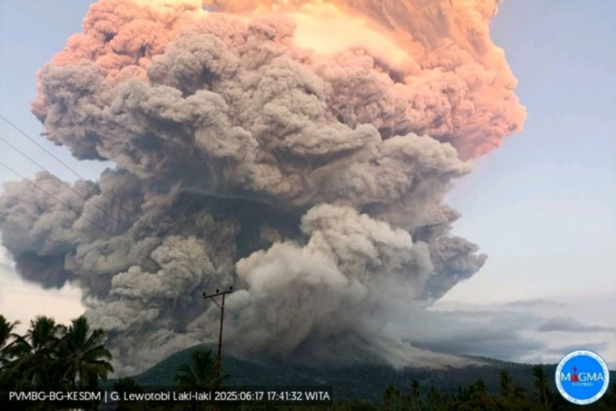 Gunung Lewotobi Laki Laki Erupsi Eksplosif Dengan Sebaran Abu Luas Di Flores Timur