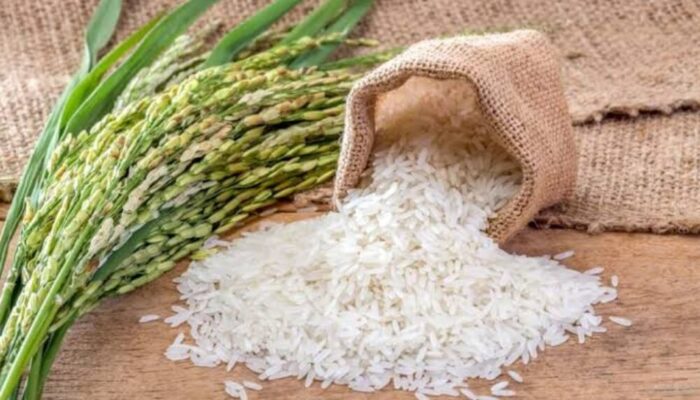 Harga Eceran Tertinggi Beras Medium Akan Naik, Pemerintah Pertimbangkan Ulang