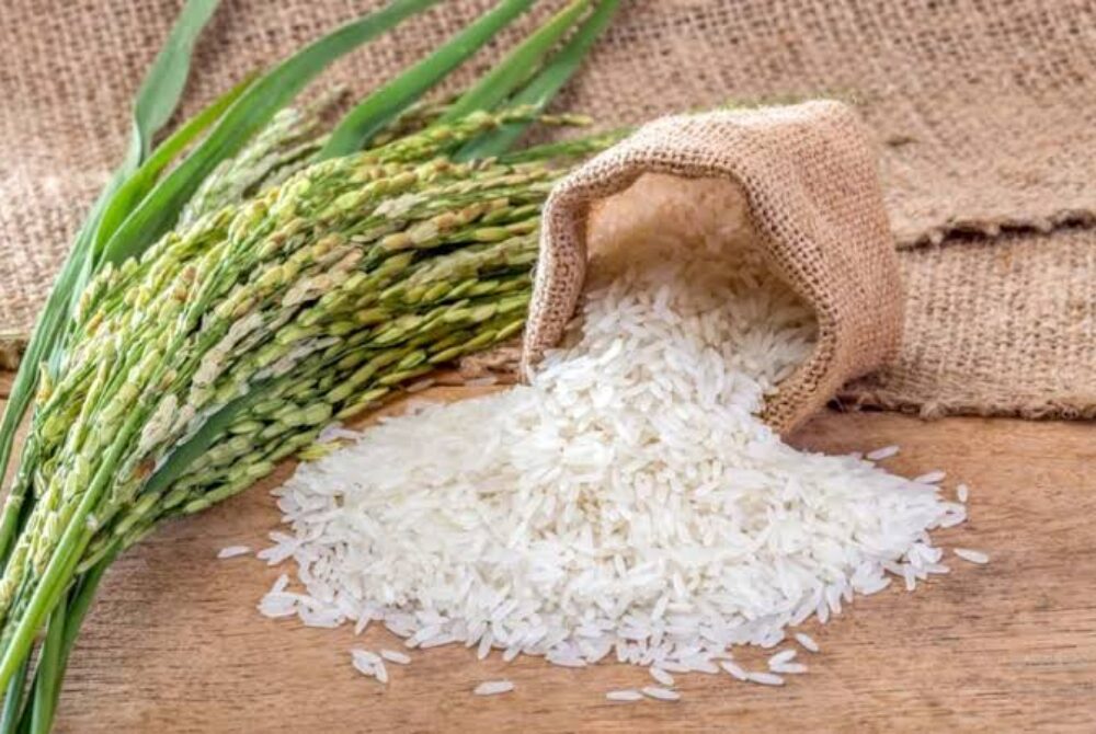 Ilustrasi Beras Medium Dan Gabah Kering Panen, Terkait Rencana Kenaikan Het