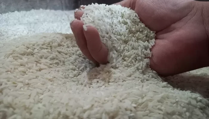 Kejagung Mulai Dalami Kasus Beras Oplosan, Kerugian Capai Rp100 T