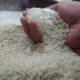 Kejagung Mulai Dalami Kasus Beras Oplosan, Kerugian Capai Rp100 T