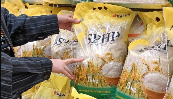 Pemerintah Mulai Salurkan Beras SPHP dan Bansos, Harga Diatur Sesuai HET