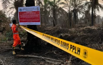 Petugas Klh Menyegel Lokasi Perusahaan Sawit Di Riau Akibat Kebakaran Hutan Dan Lahan