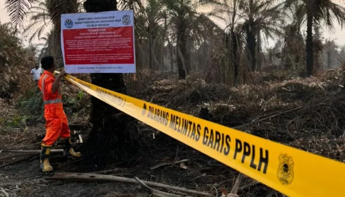 KLH Segel 4 Perusahaan Sawit dan Tutup 1 Pabrik karena Karhutla di Riau