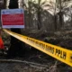 KLH Segel 4 Perusahaan Sawit dan Tutup 1 Pabrik karena Karhutla di Riau