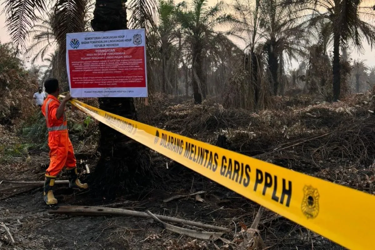 Petugas Klh Menyegel Lokasi Perusahaan Sawit Di Riau Akibat Kebakaran Hutan Dan Lahan