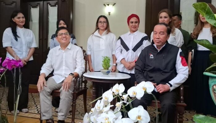 PSI Kenalkan Logo Gajah, Jokowi Tunjukkan Langsung dari Rumah