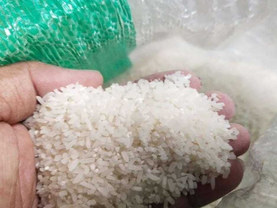 Tangan Memeriksa Butiran Beras Di Wadah Untuk Melihat Ciri Beras Oplosan Secara Langsung