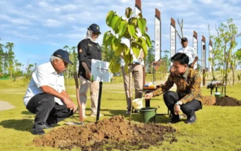 Wakil Presiden Gibran Menanam Pohon Ulin Di Kawasan Ibu Kota Nusantara (ikn) Kalimantan Timur
